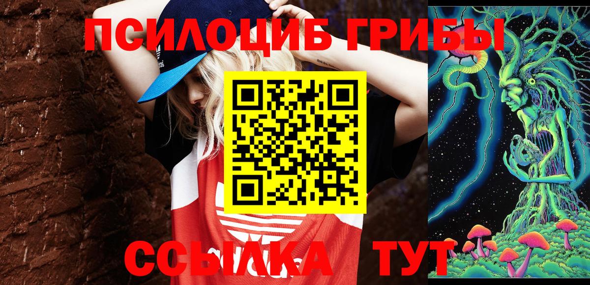 купить  цена  Вход с VPN  Псилоцибиновые грибы Psilocybe  Крымск  Галлюциногенные грибы мицелий 